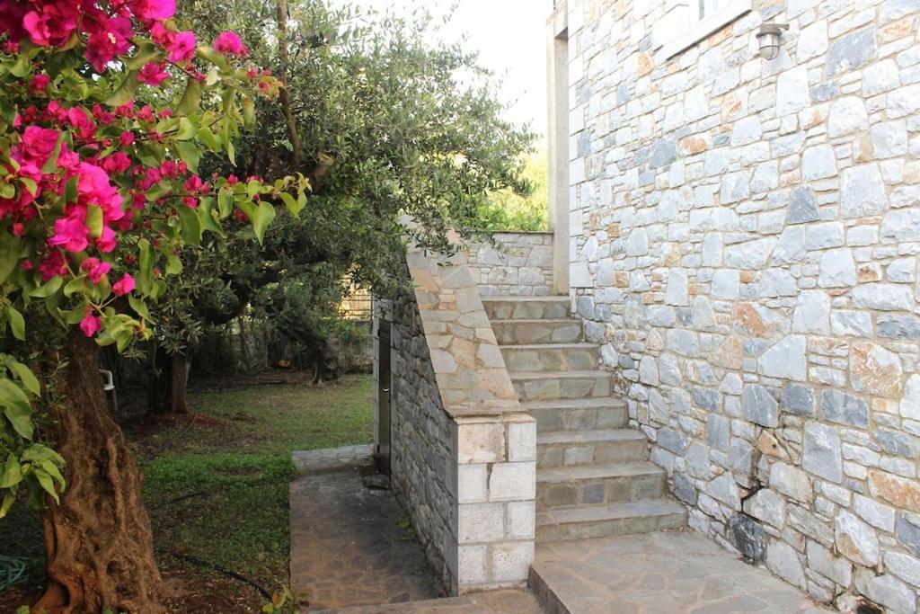 Hanakia Stoúpa المظهر الخارجي الصورة